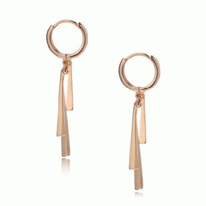 Stick Earrings 